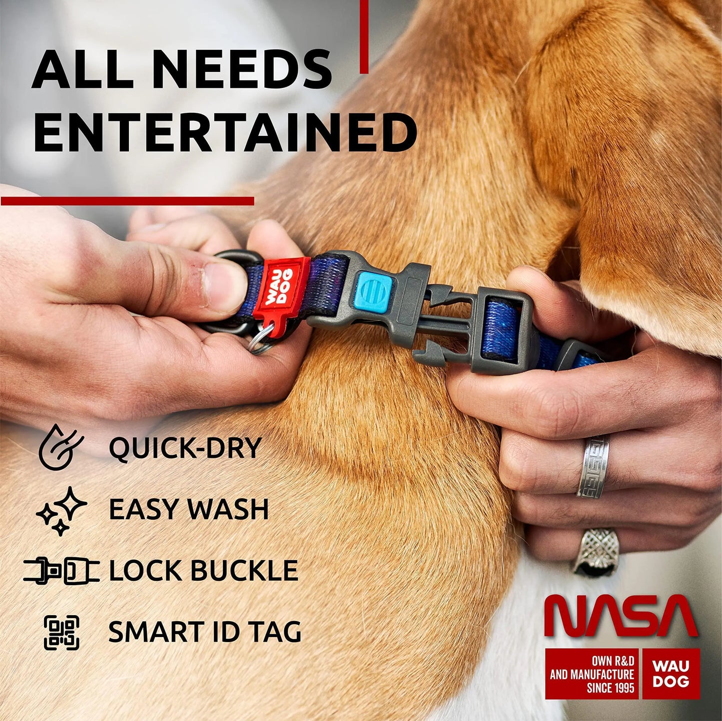 Nylon Dog Collar