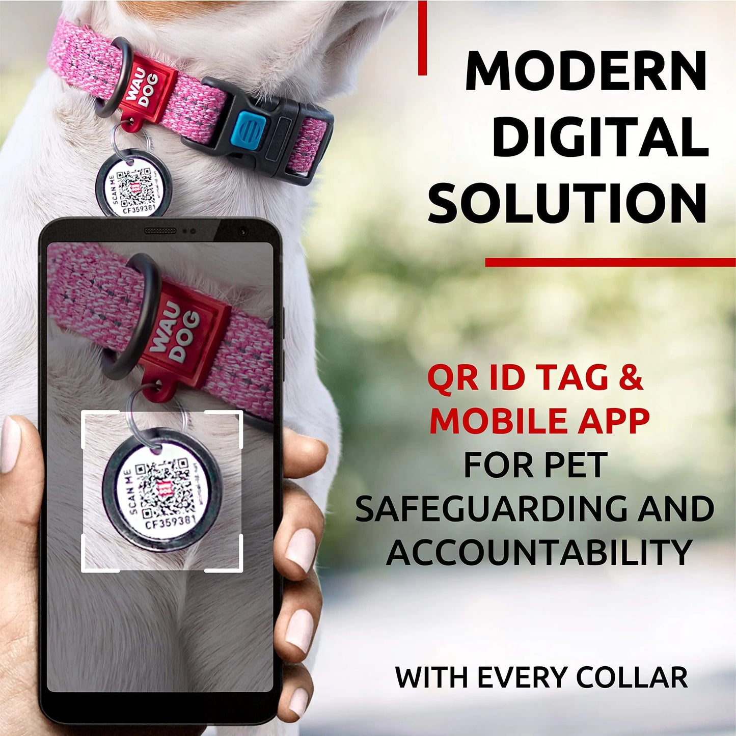 Reflective Cotton Dog Collar for Small Dogs