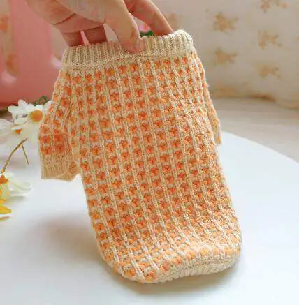 Dibi Bear Sweater for Dogs and Cats
